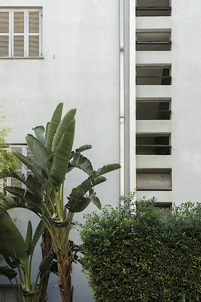 Angeschnittene Palmen beleben die Fassade<br/>Foto: © Gerd Kittel
