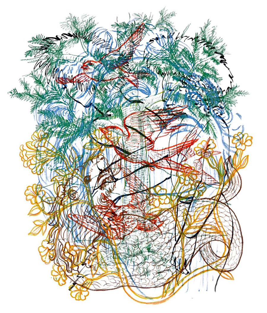 180 x 160  2022  Farbstifte<br/>Hans Jürgen Diez